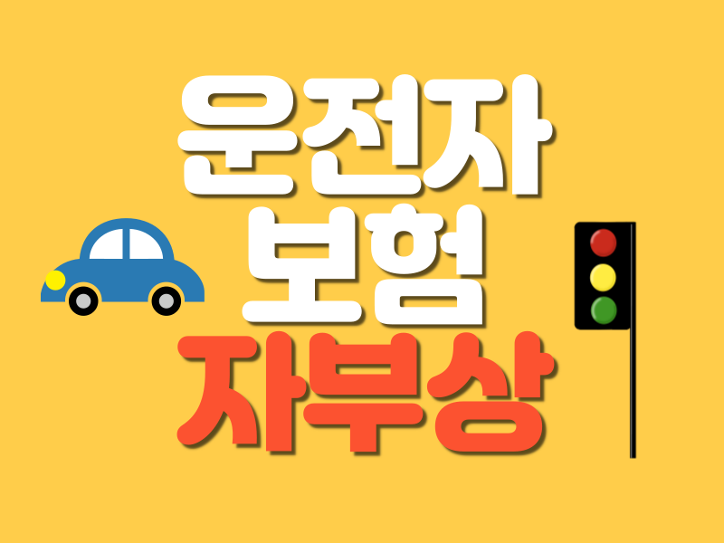 운전자보험 보장항목